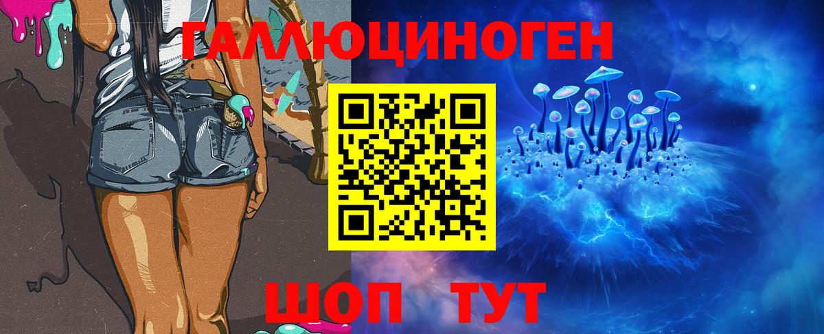 Псилоцибиновые грибы Psilocybe Котлас