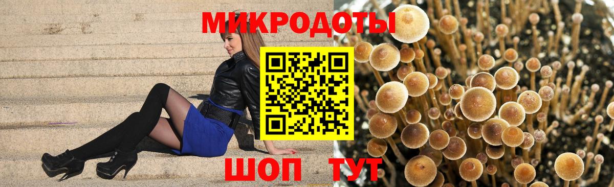 Котлас  Псилоцибиновые грибы Psilocybine cubensis  Вход с VPN 